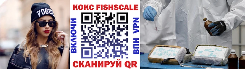 Cocaine Fish Scale  mega зеркало  Красноярск  где купить  