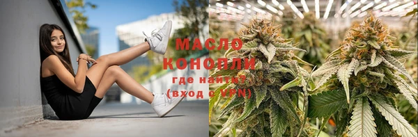 гидропоника Богданович
