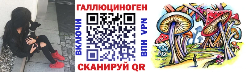 Псилоцибиновые грибы Psilocybine cubensis  hydra ссылка  Красноярск 